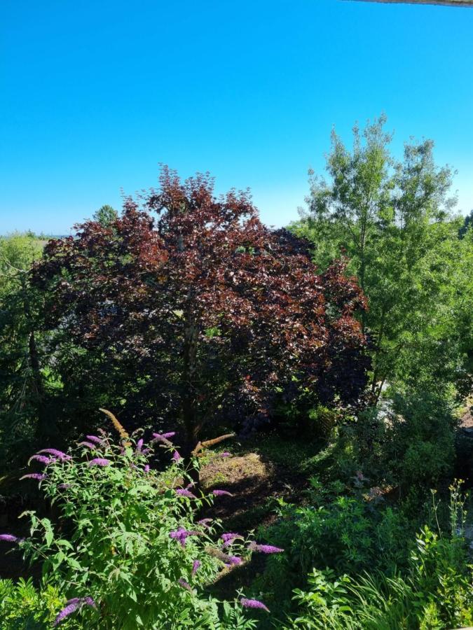 Location Saisonniere Appartement Situe A סומור מראה חיצוני תמונה